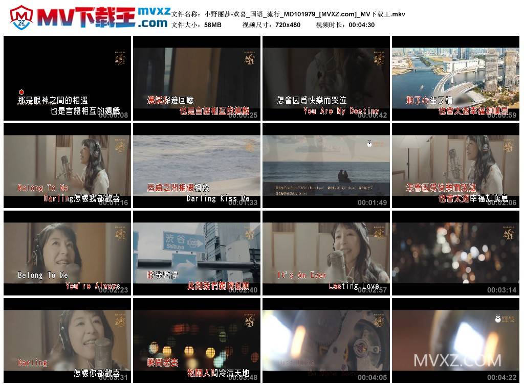 小野丽莎-欢喜_国语_流行_MD101979